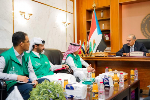 الرئيس الزُبيدي يشيد بالدعم السعودي اللامحدود لبلادنا في جميع القطاعات